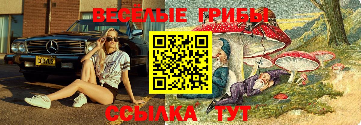 Лысьва  Псилоцибиновые грибы MAGIC MUSHROOMS  Вход с VPN 